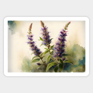 Anise Hyssop Watercolor Design Magnet